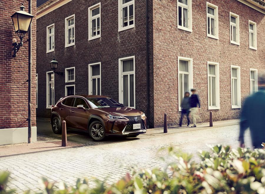  Lexus UX250h Brown Edition 2020 года  (JP) (фото 1 из 2)